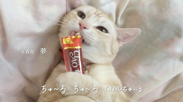CIAOちゅ〜る 動画アップローダー | Ciaoちゅ〜る